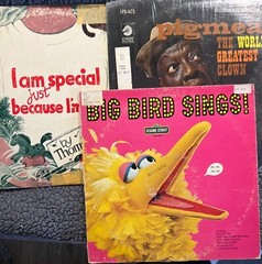 Vintage Record Lot 33 1/3 Disco Big Bird Peter and Wolf Pied Piper Cathy Fink