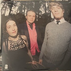 COACHWHIPS ‘Hands on the Controls LP NEW oh sees pink brown sic alps cat power