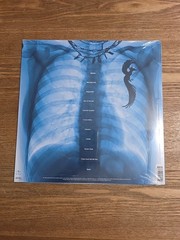 LORDE – VIRGIN (BATHWATER CLEAR VINYL LIMITED ED W/ BOOKLET) READ DESCRIPTION