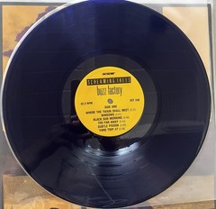Screaming Trees – Buzz Factory 1989 OG Blue Transparent SST Records SST 248