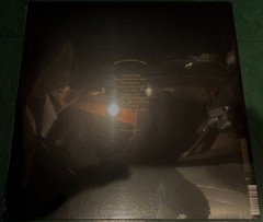 DAVID GRAY “Gold In A Brass Age” SEALED 2 LP Vinyl Limited Edition