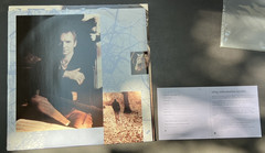 Mercury Falling by Sting (Vinyl, 1996, A&M Records)