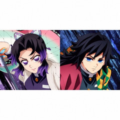 Demon Slayer Kimetsu no Yaiba Infinity Mugen Castle Vinyl Record Japan Anime