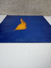 New Order – True Faith / 1963 (1987 Vinyl Qwest Records 0-20733 – 12” Single)