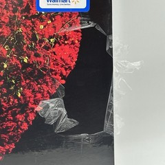 Conan Gray – Superache LP 2024 Walmart Exclusive Black Ice Vinyl Torn Seal! RARE