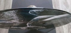Agalloch – Marrow of the Spirit 2x LP Picture Disc(Sleeve Print Edition ltd.250)