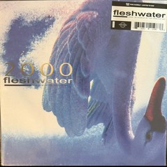 Fleshwater – 2000: In Search Of Endless Sky (LP, Album, Ltd, Pin) (Mint (M)) – 4