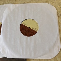 ALELA DIANE To Be Still ROUGH TRADE 2X LP w/ Lyric Insert Vinyl Record