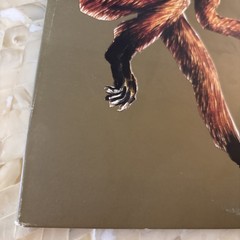 FEU THERESE – CA VA COGNER – VINYL – LP Record – Constellation Records