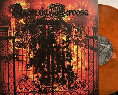 Anorexia Nervosa – Drudenhaus LP 2023 Osmose Productions – OPLP094 [Orange] NM