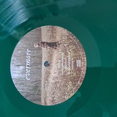 Taylor Swift – Evermore Deluxe Edition Green 2LP Vinyl 12″ Album