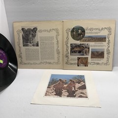 Walt Disney Vinyl Lot of 9 Vintage Disneyland LP Records 1960s 1970s Berney