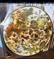 The Last Dinner Party Prelude To Ecstasy Limited Ed. Picture Disc Vinyl