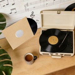12″x12″ 10 Pcs 110GSM Vinyl Record Inner Paper Sleeves with Poly Lined (Brown)
