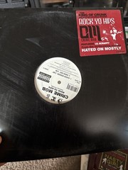 Lot of 20 Rap/Gangsta/Hip-Hop Lp’s 12″ Singles 1990’s-2000’s Nelly Mase Obie #6