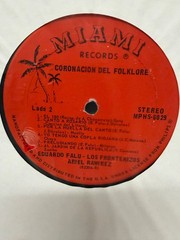 Latin Pop Rock Record Lot (12)