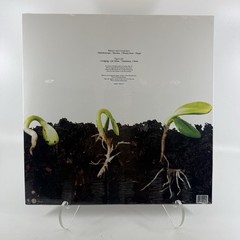 Balance And Composure / Tigers Jaw Vinyl Record