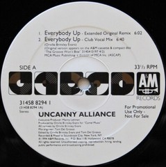 LOT sale of 12 Assorted 12 inch Singles EURO HOUSE 1990s 12HOUSE20 FREE SHIP