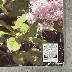 Nicole Dollanganger Natural Born Losers Deluxe Flower & Blood Vinyl 2LP Sealed