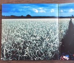 Paul Weller Modern Classics – The Greatest Hits Vinyl UK 1998 1st Press 2 LP