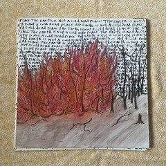 Explosions In The Sky The Earth Is Not A Cold Dead Place 2003 Vinyl TRR61