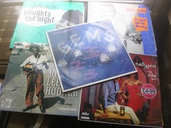 Vinyl Record Collection Job Lot Bundle 25 LPs ~ 1950s R&B Ace Charly Stateside