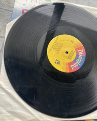 The Official Album Of Disneyland / Walt Disney World Vinyl