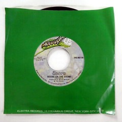 DOORS 45 Riders on the Storm / Changeling ELEKTRA 1971 MINT- Classic Rock #2627