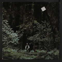 PAUL WINTER & THE WINTER CONSORT: something in the wind A&M 12″ LP 33 RPM