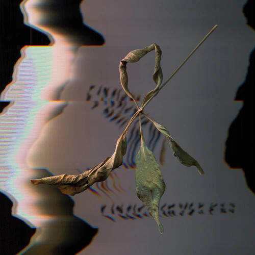 T. Gowdy – Trill Scan – Vinyl Record