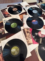 Lot of 22 Vintage Vinyl Various Americana Country Folk see Desc Pics