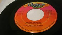 LOT OF 10 1970s 45 RPM EASY LISTENING H. REDDY, A. MURRAY, W. NEWTON, OCEAN