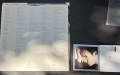 Mercury Falling by Sting (Vinyl, 1996, A&M Records)