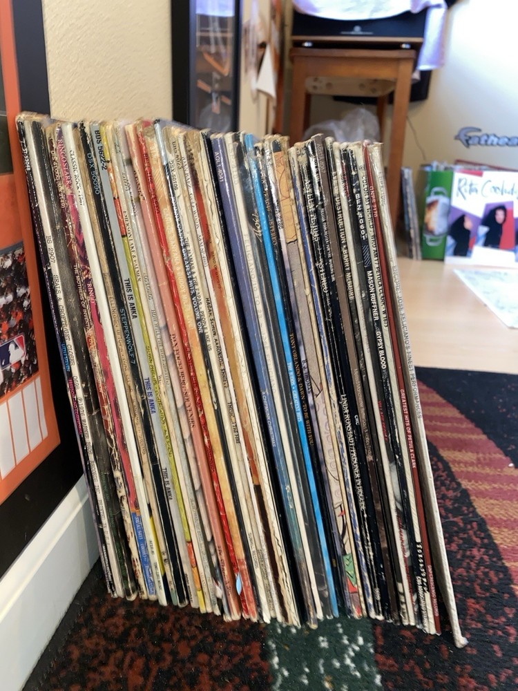 GRAB BAG! VINYL RECORDS Music Albums, LP Bulk Lot of 10 Vintage w/ Sleeves, G-VG
