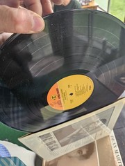 Vintage Vinyl LP Lot – Dean Martin, Jim Croce, B.J. Thomas & Disney Haunted…