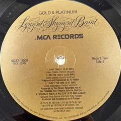 Lynyrd Skynyrd Gold & Platinum Band Double LP Vinyl Records 79