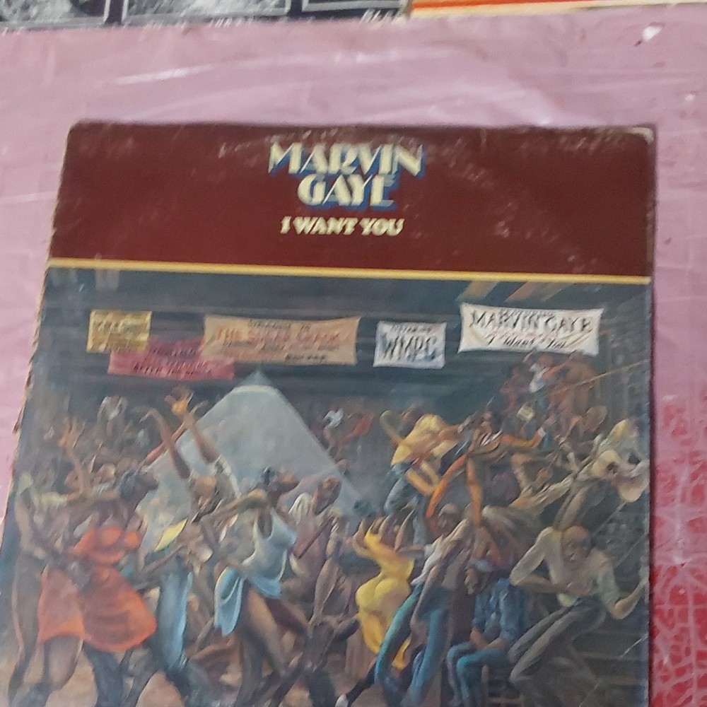 Marvin Gaye I Want You 12″ Vinyl LP Record Tamla R&B & Soul Cardboard Sleeve