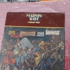 Marvin Gaye I Want You 12″ Vinyl LP Record Tamla R&B & Soul Cardboard Sleeve