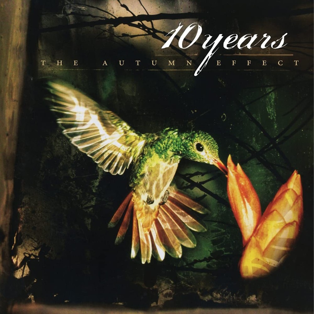 Autumn Effect (Vinyl)