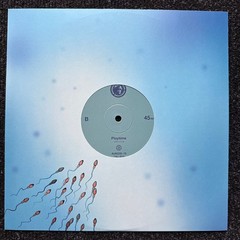 The Brian Jonestown Massacre The Sun Ship UK Orange Vinyl 10″ Single 2016 Ltd Ed