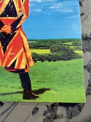 David Bowie – Earthling (HQ-180g, RSD 2015) Mint. Sealed. Hype Stickers.