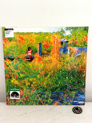 NEW SEALED VINYL – JHENE AIKO – TRIP – RSD 2026 PICTURE DISC EXCLUSIVE 2LP