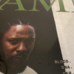 Kendrick Lamar DAMN. Vinyl LP Aftermath/Interscope B0026745-01 Parental Advisory