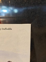 English Teacher Nearly Daffodils Nearly Daffodils Matt Maltese 7″ Vinyl RSD 2026