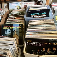 Mystery Lot of 10 Records