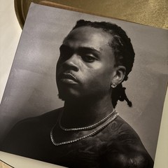 Gunna The Last Wun Alternative Cover Vinyl LP Album Record