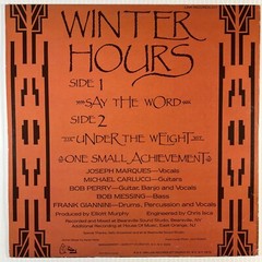 Winter Hours 3X VINYL BUNDLE Leaving Time LP The Confessional EP Say the Word EP