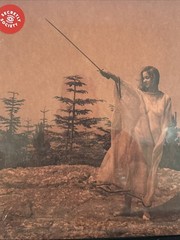 Unknown Mortal Orchestra – II [New Vinyl LP] Sealed Record. Strawberry Shortcake