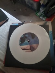 The Fallout Trust – Washout 7″ Limited Edition White Vinyl NM UK Press 2/2