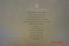 SOUNDGARDEN – King Animal, Limited Import 180G 2LP COLORED VINYL Gatefold New!